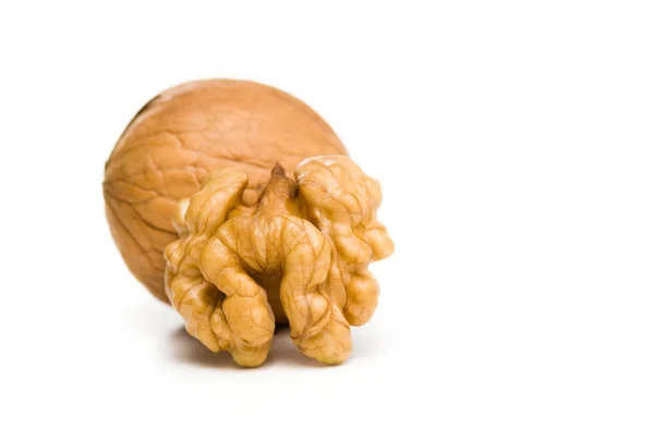 Ripe walnut. — Stock Photo, Image