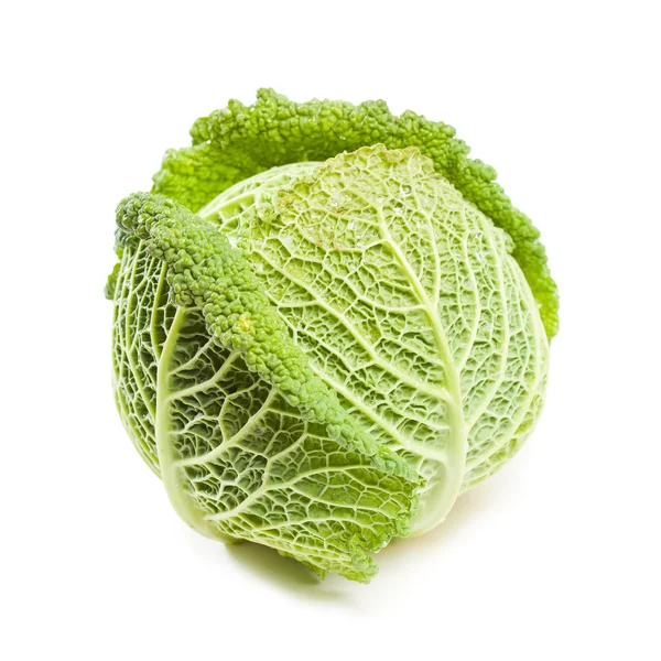 Appetizing fresh cabbage. — Stock Photo, Image