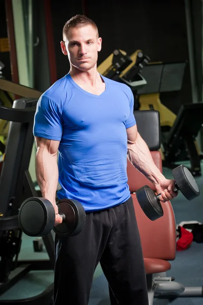 Training van de gymnastiek. — Stockfoto