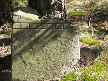 ormandaki eski mezar taşı