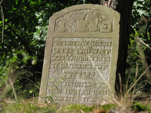 Alter Grabstein im Wald — Stockfoto