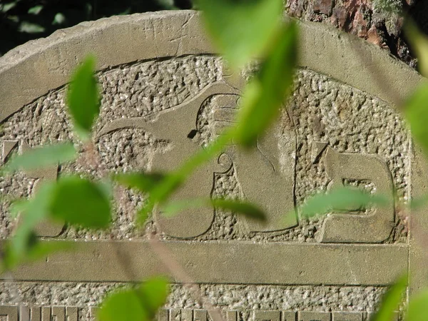 Old gravestone in the forest — Stock Photo, Image