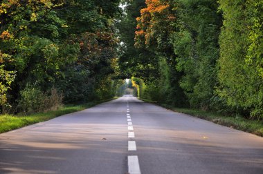 sonbahar yol