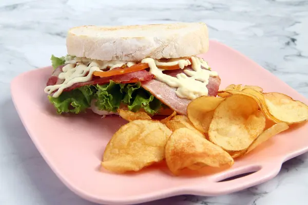 Photo Freshly Made Ham Bacon Cheese Sandwich — Stockfoto