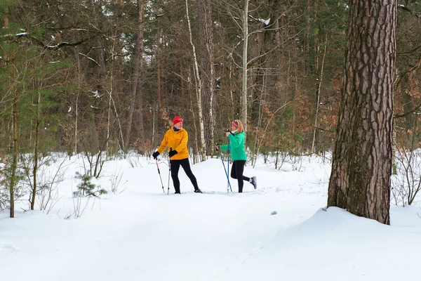 Senior couple walking with nordic walking poles in snowy winter forest