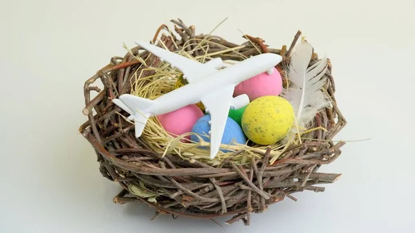 Белый самолет и пасхальное яйцо в гнезде — стоковое фото