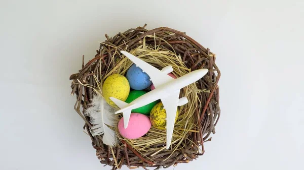 Белый самолет и пасхальное яйцо в гнезде — стоковое фото