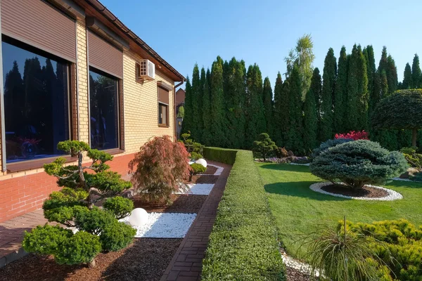 Haven med pænt trimmet bonsai, buske og buske i siden af villaen Stock-foto