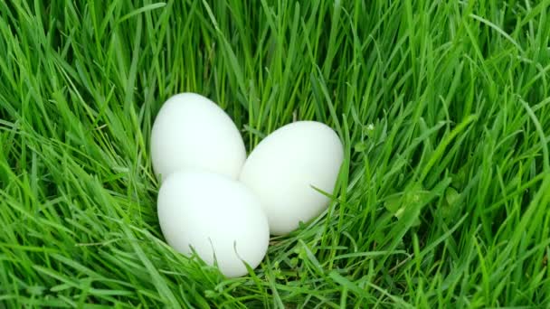 Čerstvé farmy kuřecí vejce leží v hnízdě v zelené trávě — Stock video