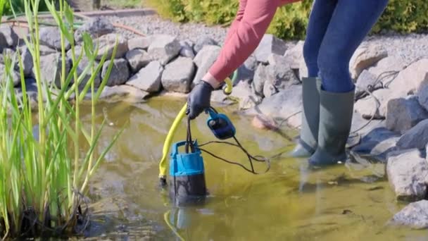 Mujer deja caer una bomba de agua sumergible en un estanque de jardín artificial — Vídeos de Stock