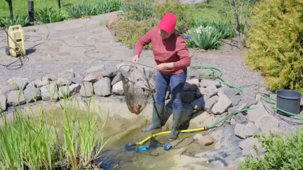 Frau mit Kescher fängt Fische, bevor sie einen dekorativen Gartenteich reinigt — Stockvideo