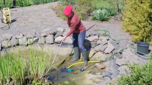 Woman with a landing net catches fish before cleaning a decorative garden pond — Video Stock