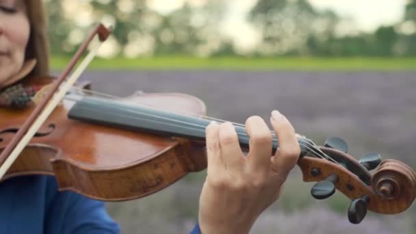 Close Hand Adult Caucasian Woman Violinist Playing Violin Summer Lavender — Stockvideo