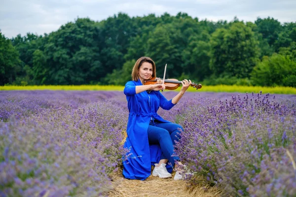 Full body adult woman violinist playing violin and sitting on summer lavender field, romantic musician in blue dress enjoying walking on nature