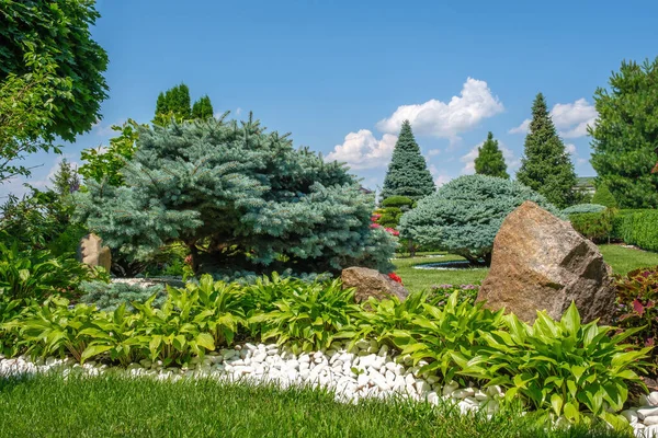 Beautifully Trimmed Bushes Flowers Bed White Pebbles Landscape Design Beautiful — Stock Photo, Image