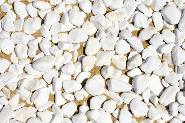 Sandy background with white pebbles for summer. Abstract nature sandy beach texture, pebbles background. Relaxing nature concept, copy space