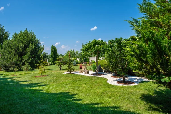 Beautifully Trimmed Trees Bushes Lawn Yard Blue Sky Sunny Day — Stok Foto