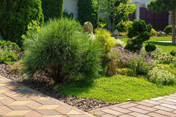 Beautifully Trimmed Bushes Flowers Flowerbed Landscape Design Beautiful Backyard Garden Stockfoto