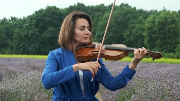 Middle Aged Woman Blue Dress Playing Violin Lavender Field Summer — Vídeo de stock