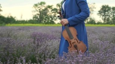 Unrecognized violinist in a blue dress holds a violin and walks across a summer lavender field, side view. Romantic musician enjoys a walk in nature