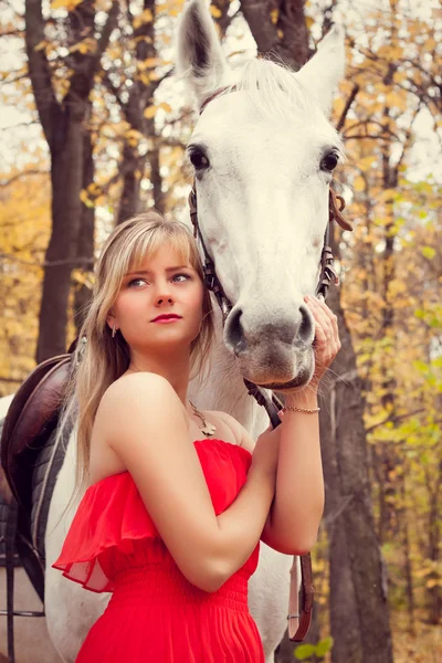 Jeune femme prenant soin de son cheval — Photo