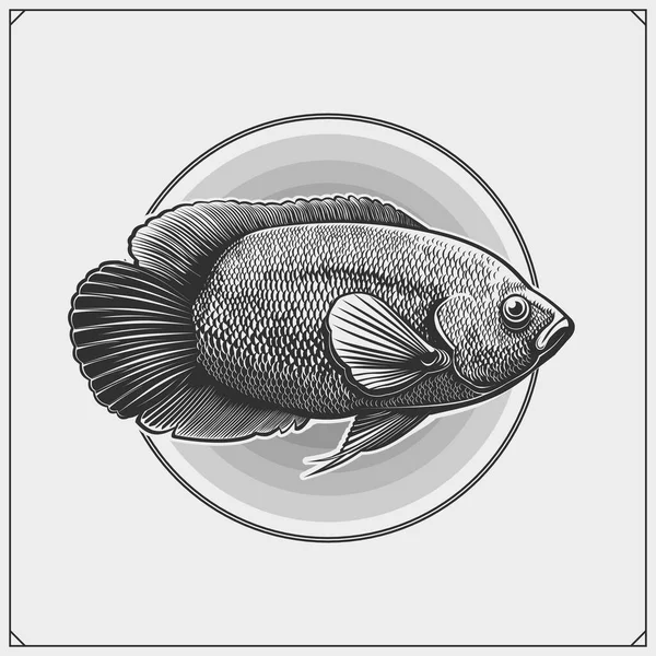 Oscar Fish Emblem Black White Realistic Graphics 免版税图库插图