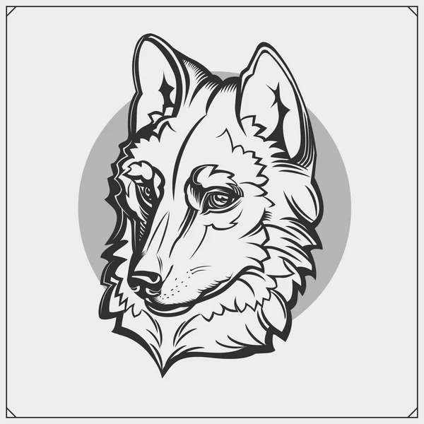 Beautiful Fox Emblem Label Vector Illustration Gráficos Vetores