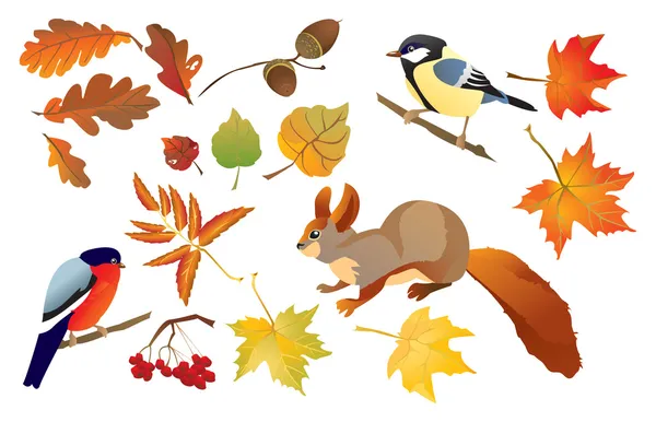 Verzameling van geïsoleerde herfst bos bladeren en kleine vogels en dieren — Stockvector