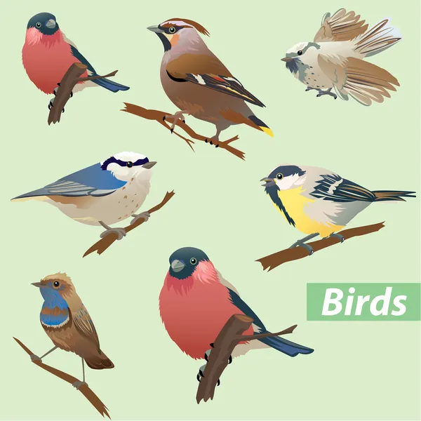 Conjunto de aves - tit, bullfinch, pardal, crossbill — Vetor de Stock