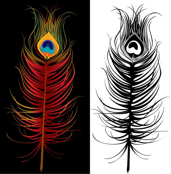 Pluma de pavo real - colorido y blanco y negro — Vector de stock