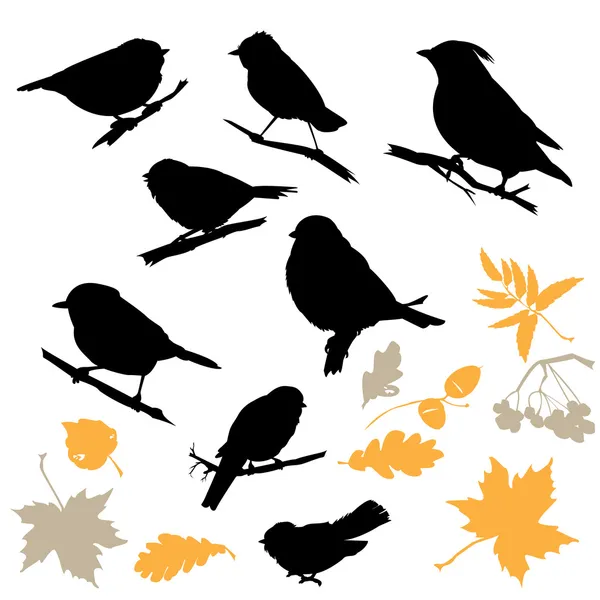 Uccelli e piante Silhouette isolate su sfondo bianco — Vettoriale Stock
