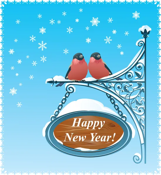 2 Gimpel - Happy New Year Card — Stockvektor