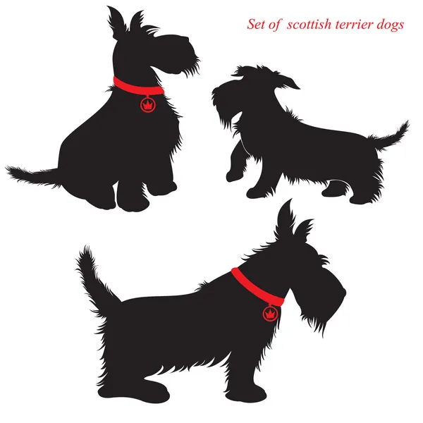 Set di silhouette di cani terrier scozzesi — Vettoriale Stock