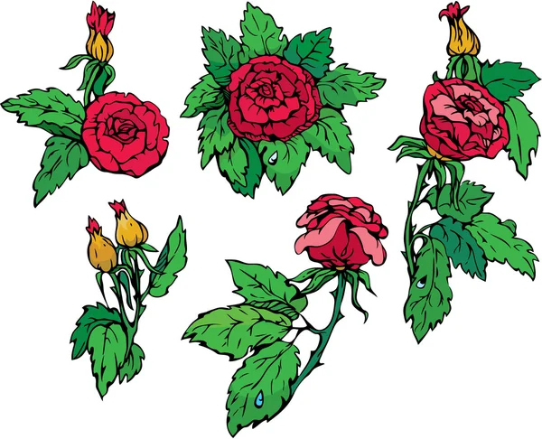 Σύνολο χέρι που τριαντάφυλλα λουλουδιών - στοιχεία σχεδίασης που απομονώνονται σε wh — Διανυσματικό Αρχείο