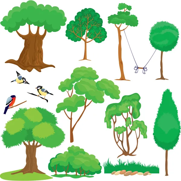 Набір дерев, кущів і птахів ізольовано на білому тлі . — стоковий вектор