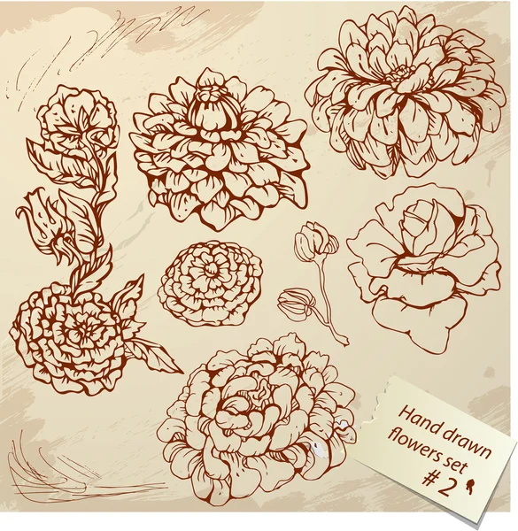 ヴィンテージ現実的なグラフィック花のセット-手描きの画像 — ストックベクタ