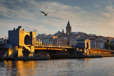  Akşam manzarası. Martı, deniz ve köprü. Galata Köprüsü. Golden Horn Körfezi, Galata Kulesi. İstanbul, Türkiye. Seyahat, manzara