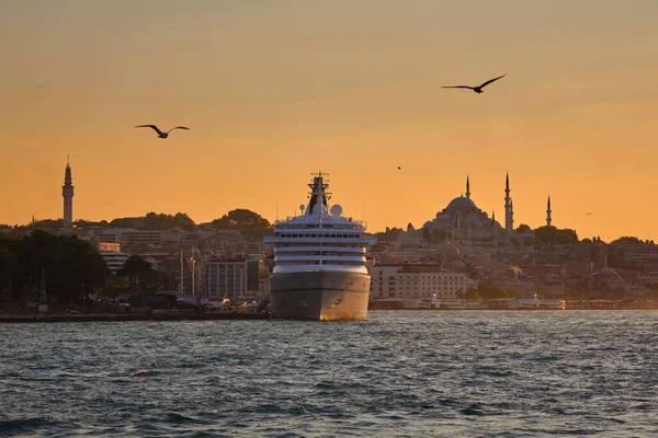 Estambul Por Noche Vista Mar Crucero Mezquitas Gaviotas Viajar Estambul — Foto de Stock