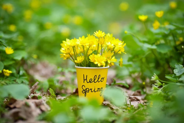 Hello Spring Yellow Spring Flowers Cup Inscription Hello Spring Stand — Stock Photo, Image