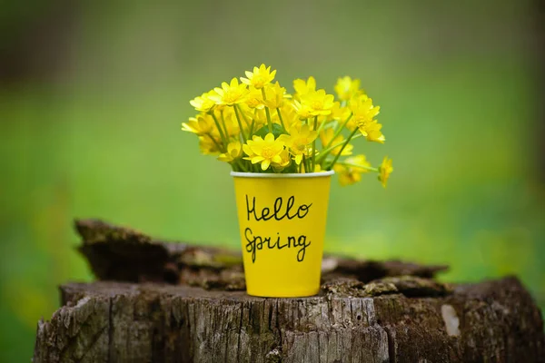 Ciao Primavera Fiori Gialli Primaverili Una Tazza Poggiano Ceppo Legno — Foto Stock