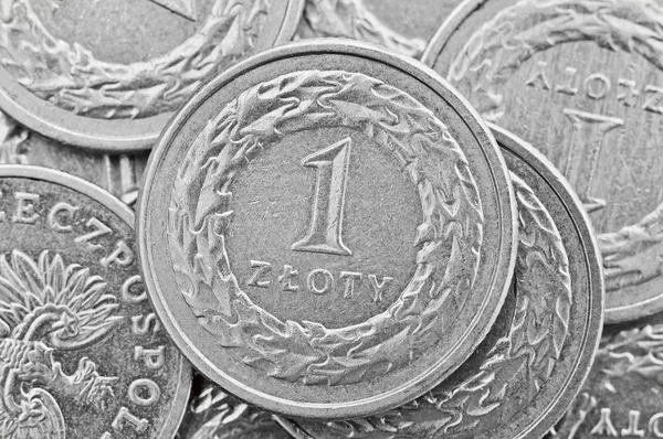 Polish zloty — Stock Photo, Image