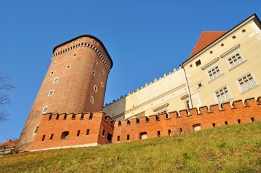 Wawel Royal Castle