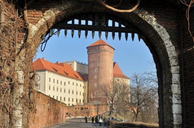 Wawel Royal Castle clipart
