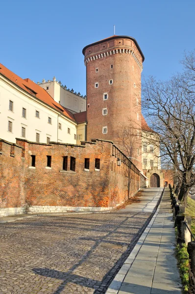 Castello Reale di Wawel — Foto Stock