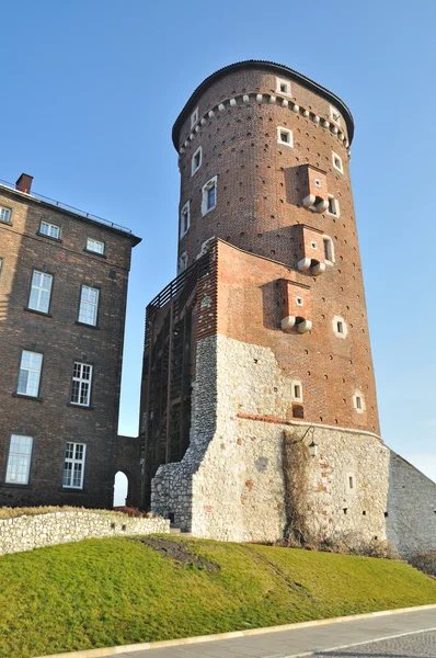 Королівський палац у Вавелі — стокове фото