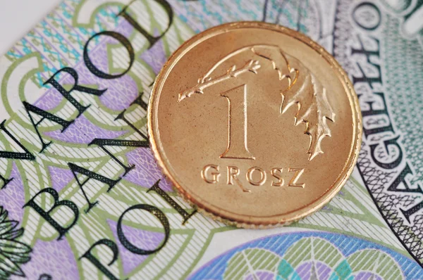 Polish zloty — Stock Photo, Image