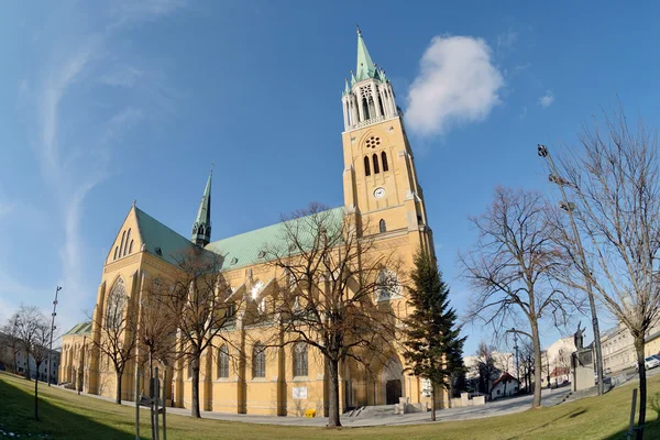 Catedral, Lodz —  Fotos de Stock