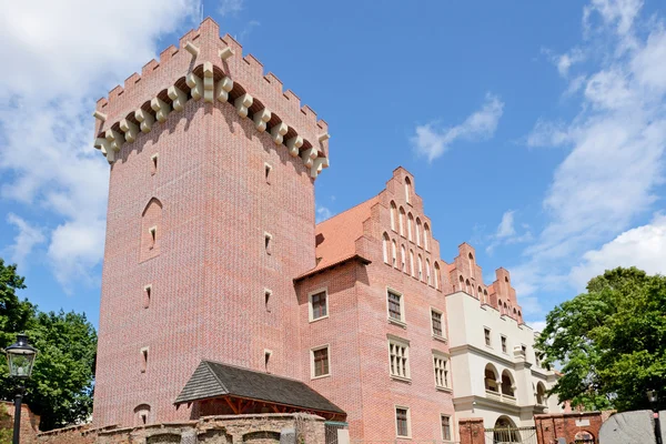 Castelo Real em Pozna= — Fotografia de Stock