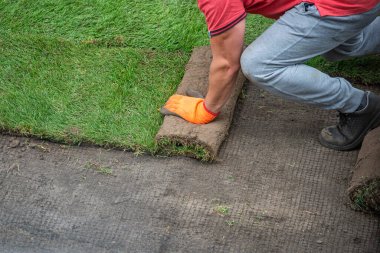 Bir rulo çimen yapmak.