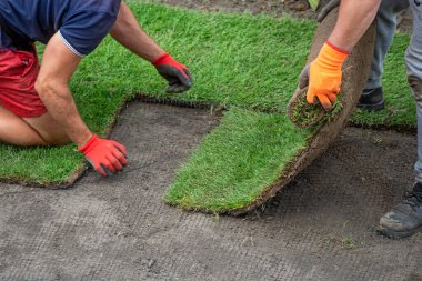 Bir rulo çimen yapmak.
